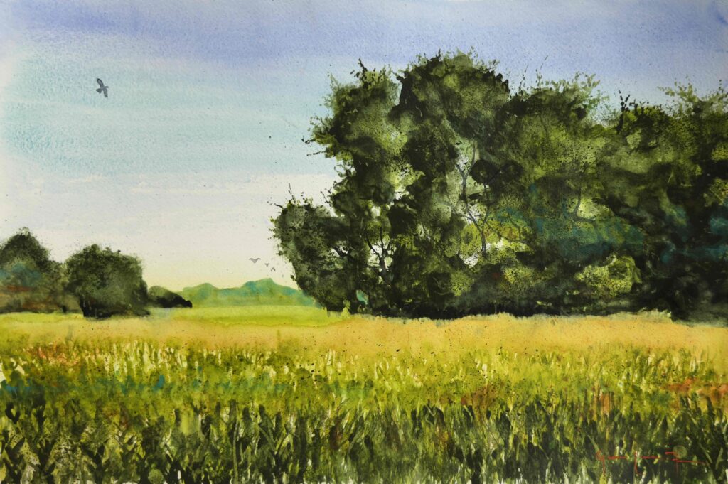 "Countryside, Piedmont", Watercolor on Paper, July 2025, 16.52" x 11.72" (42 cm. x 29,7 cm.) © Gian Luca Ferme.
